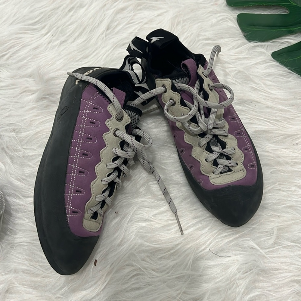 Evolve rock climbing shoes size 8